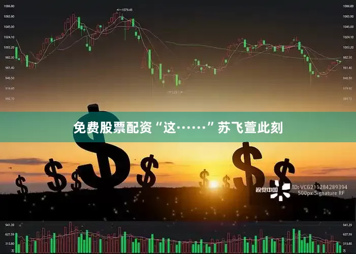 免费股票配资“这······”苏飞萱此刻
