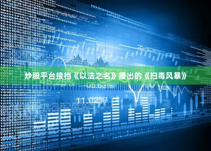炒股平台接档《以法之名》播出的《扫毒风暴》